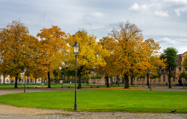 Herbst im Park