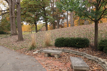 Benches in the autumn park