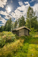 wooden house in  forest