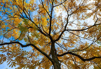 Herbst im Park