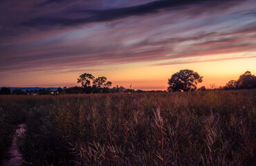 Fototapeta na wymiar Sunset Over English Fields