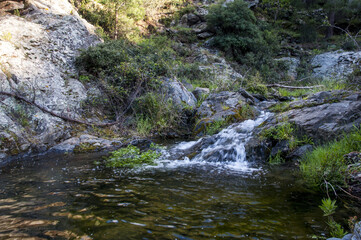 Corren los arroyos