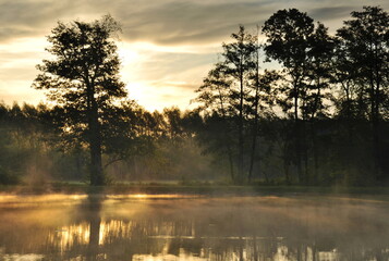 morning fog over the water