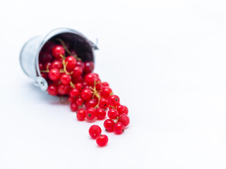 A metal basin filled with red currants