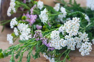 Meadow medical herbs - Chamomile and Achillea. Alternative medicine herbal grass