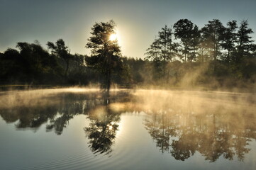 morning fog over the water