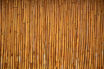Bamboo surface, wall or floor, texture background. Wall of an Asian, Chinese house built from bamboo sticks