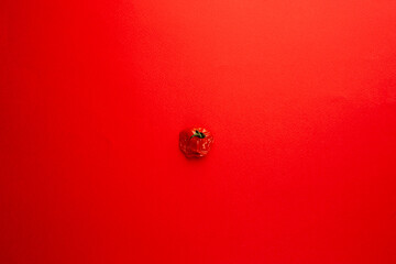 Single baked Cherry tomato on a red background. Flat lay, top view