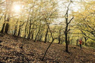 Autumn in forest, person taking photos in the background. Colorful season.