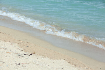 sandy beach and wave