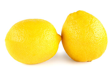 Two juicy lemons are isolated on a white background.