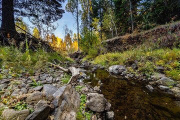A beautiful fall landscape image with turning trees.