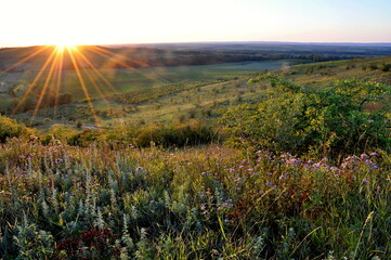 steppe meadow at sunset