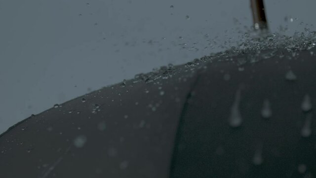 Rain Slow Motion Heavy Downpour