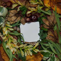 A creative layout made with natural autumn leaves with paper card notes. Minimal flat lay background