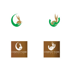 Set Palm tree summer logo template vector illustration