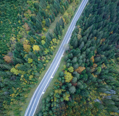 Straight road through the forest top view