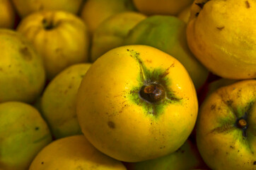 Some ripe, yellow, delicious quinces, close up