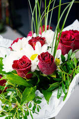 Bouquet of flowers bright red roses and white daisies, macro photo floristry, shop advertising and flower delivery bouquets, rosebud with drops of dew water freshness