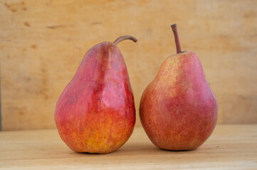 Two pears edible fruits, tasty ripened red yellow fruit on wooden background