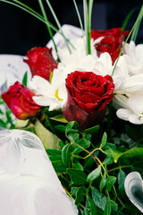 Bouquet of flowers bright red roses and white daisies, macro photo floristry, shop advertising and flower delivery bouquets, rosebud with drops of dew water freshness