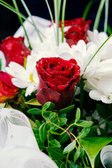 Bouquet of flowers bright red roses and white daisies, macro photo floristry, shop advertising and flower delivery bouquets, rosebud with drops of dew water freshness, mirror reflection of flowers