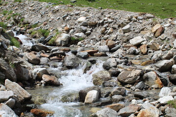 stream in the woods