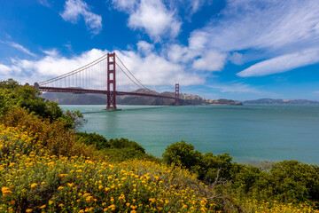 Golden Gate in yellow flower field