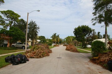 Piles of fallen tree branches line up a residential neighborhood street in Boca Raton, Florida after Hurricane Irma. - obrazy, fototapety, plakaty