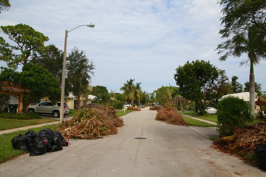 Piles Of Fallen Tree Branches Line Up A Residential Neighborhood Street In Boca Raton, Florida After Hurricane Irma.