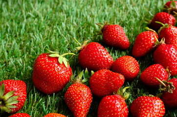 red fresh strawberries on green grass, close view