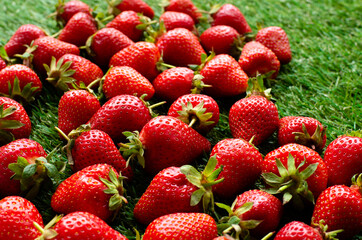 red fresh strawberries on green grass, close view