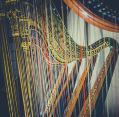 close up of harp