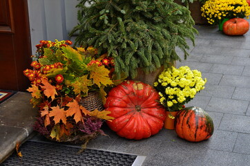 Harvest or Thanksgiving background with autumnal fruits and gourds on rustic wooden table