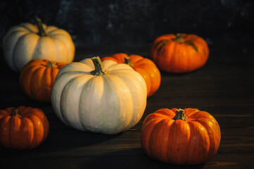 White and orange pumpkins lie on a dark background