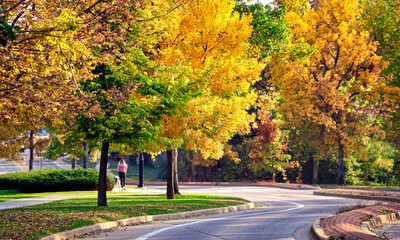 Naklejka premium Autumn color along a tree-lined suburban street.