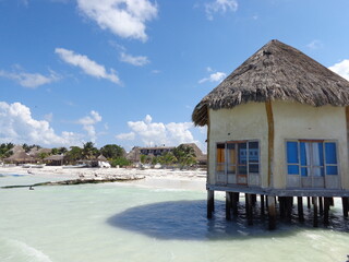 The beautiful beaches and wildlife of  the Mexican Isla Contoy, Holbox and Cozumel islands in the Gulf of Mexico