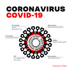 Medical infographic: structure of coronavirus COVID-19