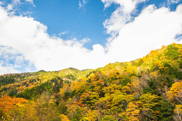 秋の中房渓谷　有明山