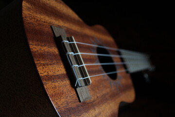 Ukulele
