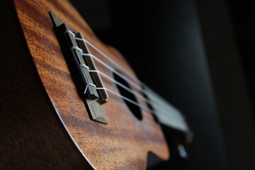 Ukulele