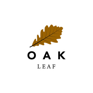 Oak Leaf Design Brown Autumn Vector Illustration