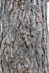 texture