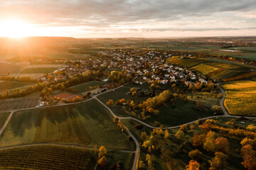 Luftbild von den Weinbergen im Herbst im Sonnenuntergang