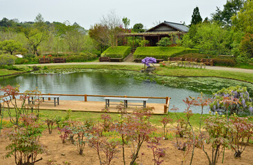 清水公園・花ファンタジア