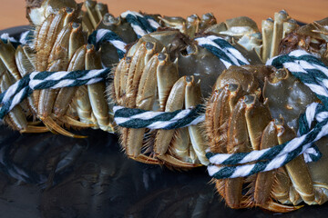 Close-up of plump Yangcheng Lake hairy crabs