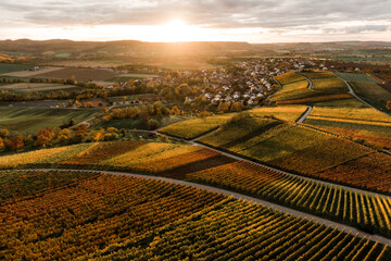 Luftbild von den Weinbergen im Herbst im Sonnenuntergang
