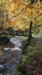 a footbridge in the Ravenna Gorge in Breitnau, in the month of October, Germany
