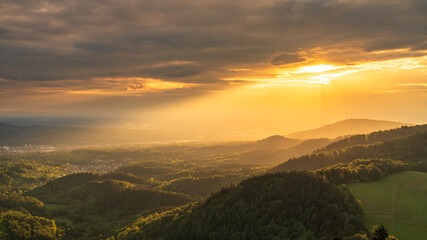 The wonderful black forest during the golden hour.