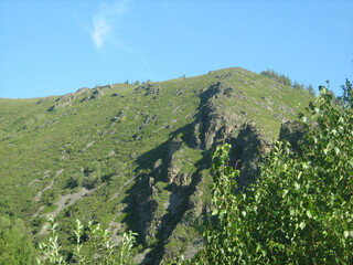 landscape with trees